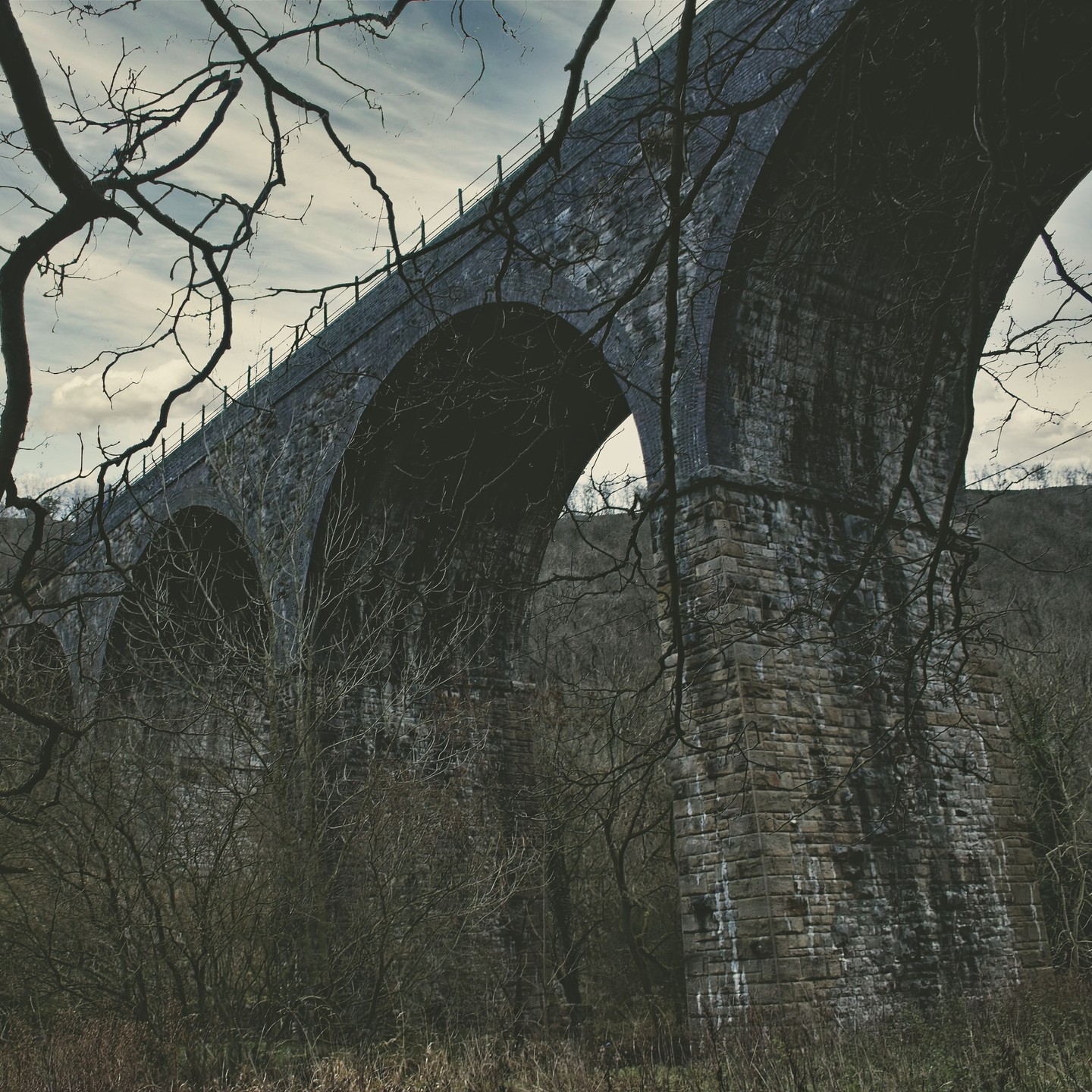 Miscellaneous photograph