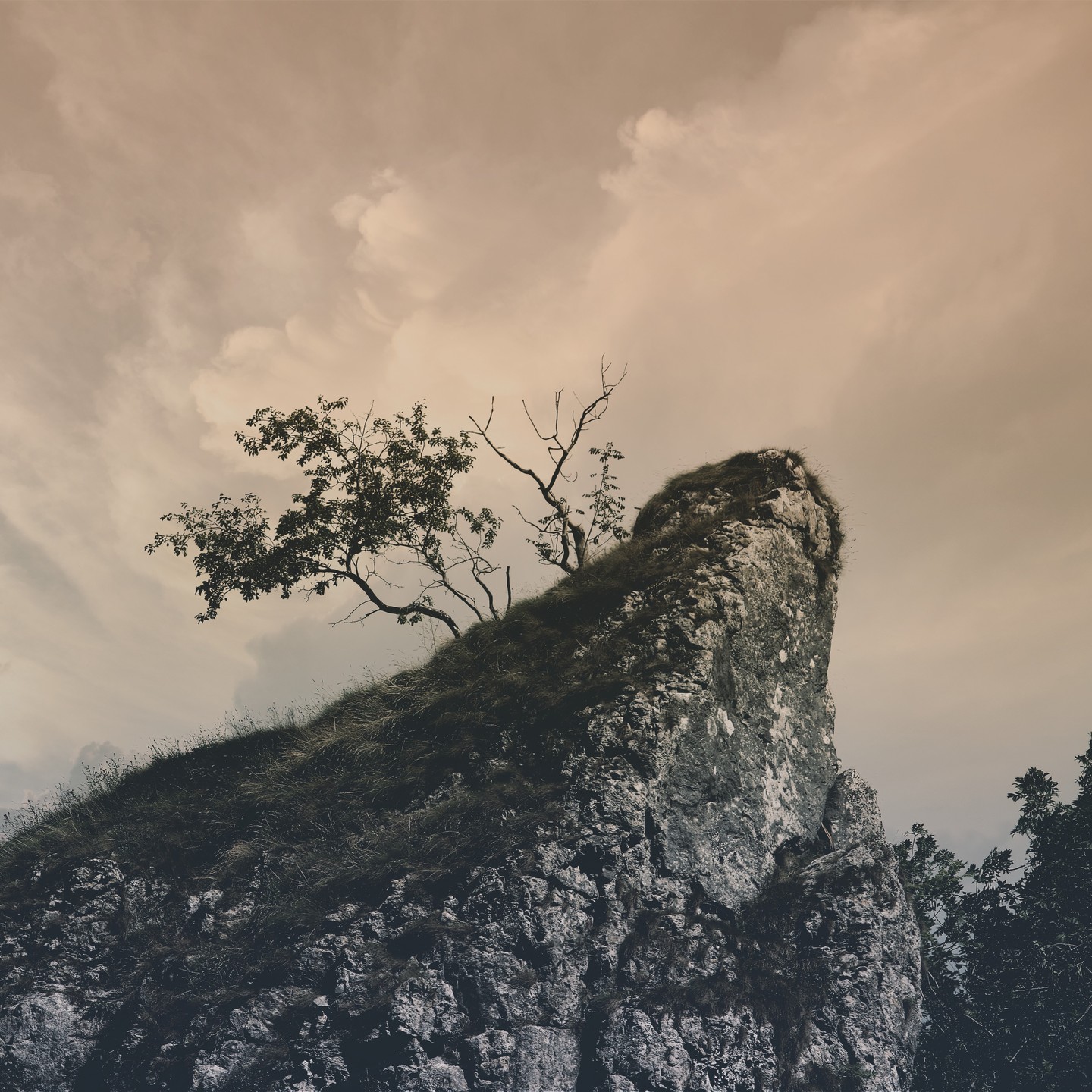 Miscellaneous photograph