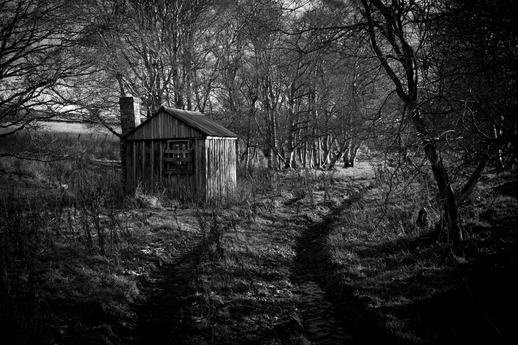 Northumberland photograph